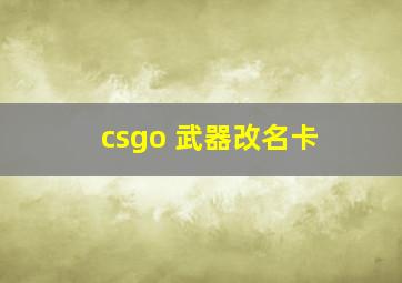 csgo 武器改名卡